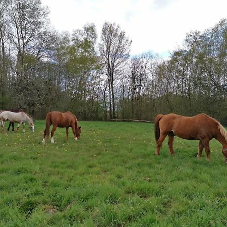 Gite En Creuse Moutier-Malcard Buitenkant foto