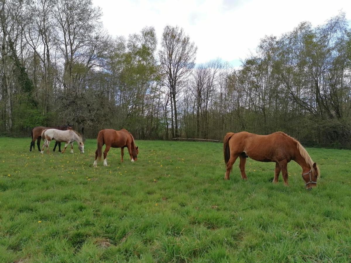 Gite En Creuse Moutier-Malcard Buitenkant foto